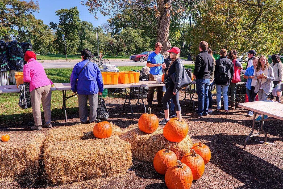 Green City Farmer's Market image